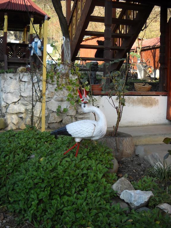 فندق ياسينيافي  Smerekova Hata المظهر الخارجي الصورة